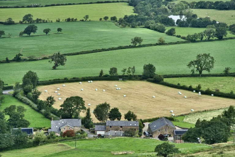 drone farming